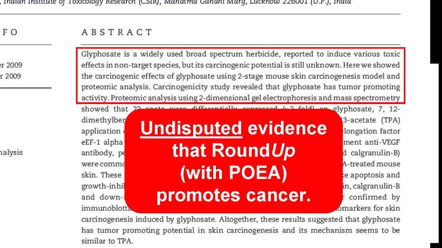 Undisputed evident that RoundUp (with POEA) promotes cancer